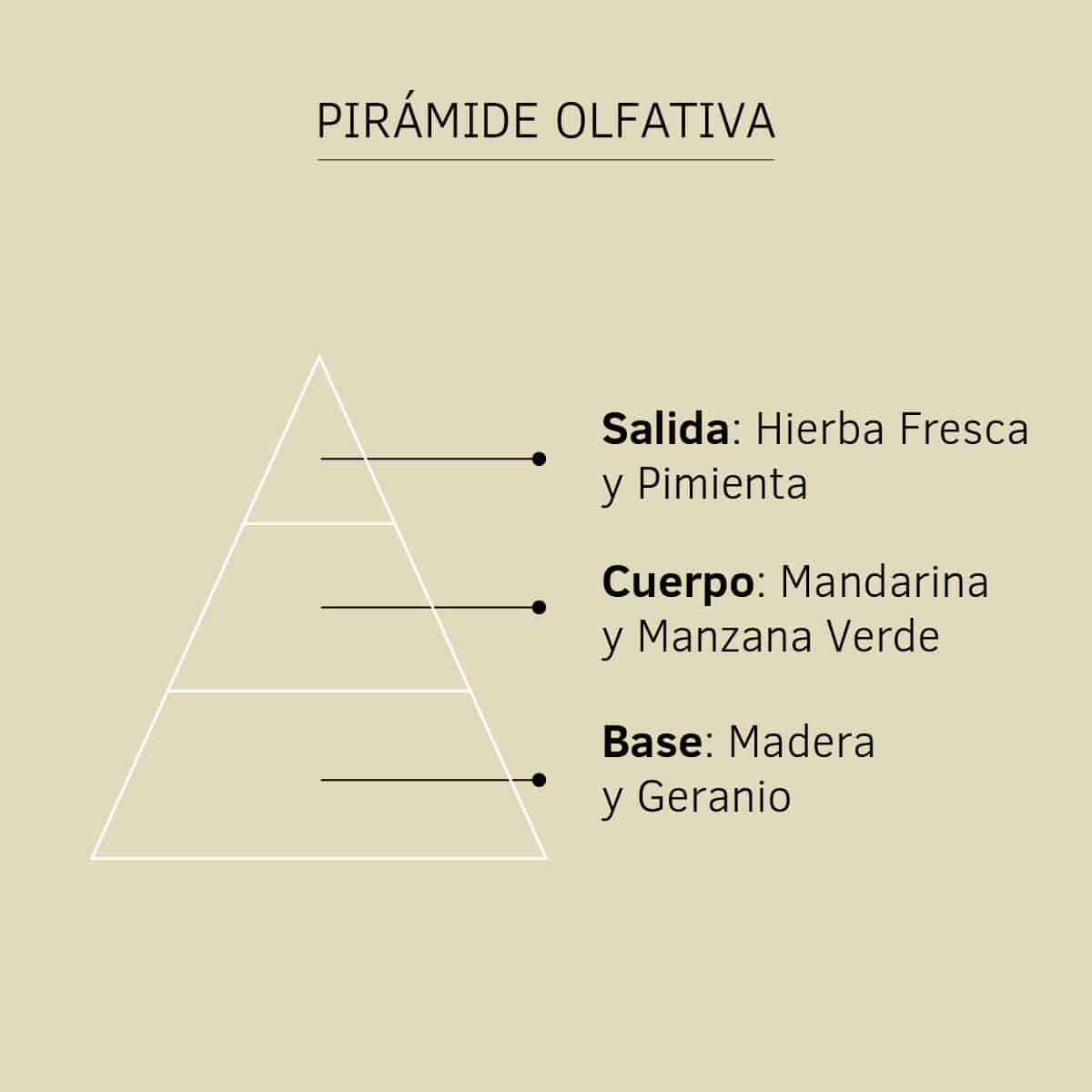Pirámide olfativa Esencia Natural Ruda