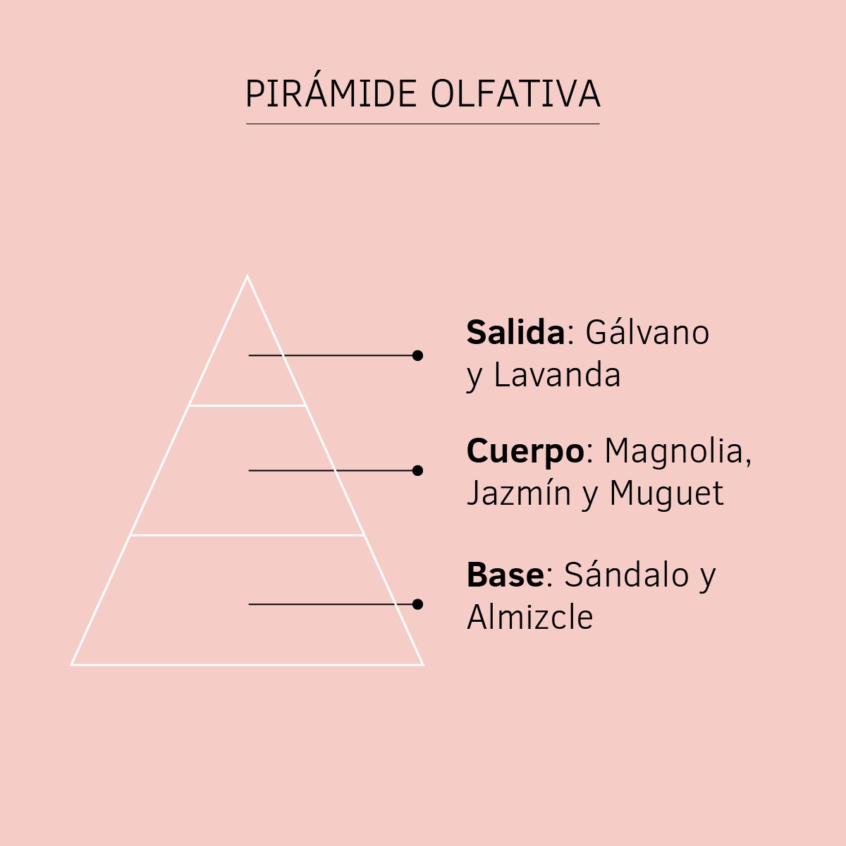 Pirámide Olfativa Esencia Natural Magnolia