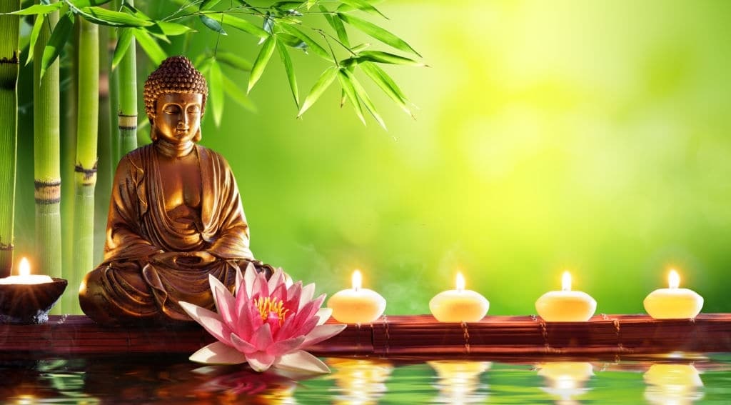 Buddha flor de loto